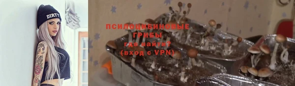 метадон Липки