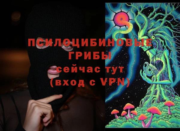 соль ск Кукмор