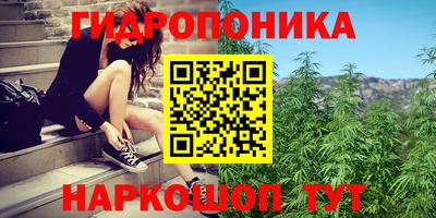 спиды Гусь-Хрустальный