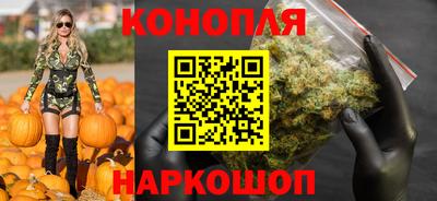 спиды Гусев