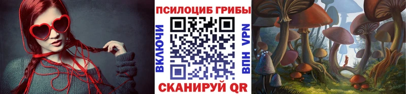 Псилоцибиновые грибы Psilocybe  ссылка на мегу tor  Острогожск 