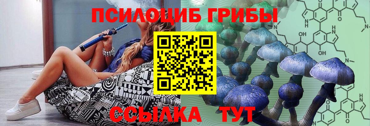 Галлюциногенные грибы Psilocybe  Острогожск  Галлюциногенные грибы Psilocybine cubensis 